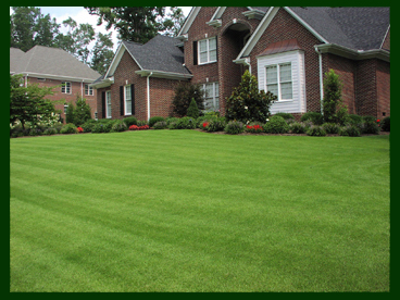 grass trimming,fertilization