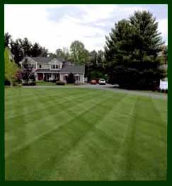lawn mowing
